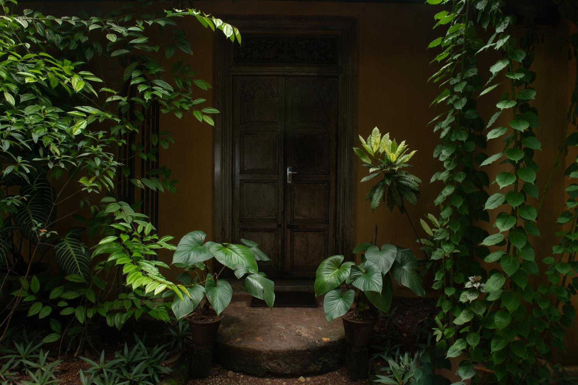 Casa Heliconia Hotel Gampaha Buitenkant foto